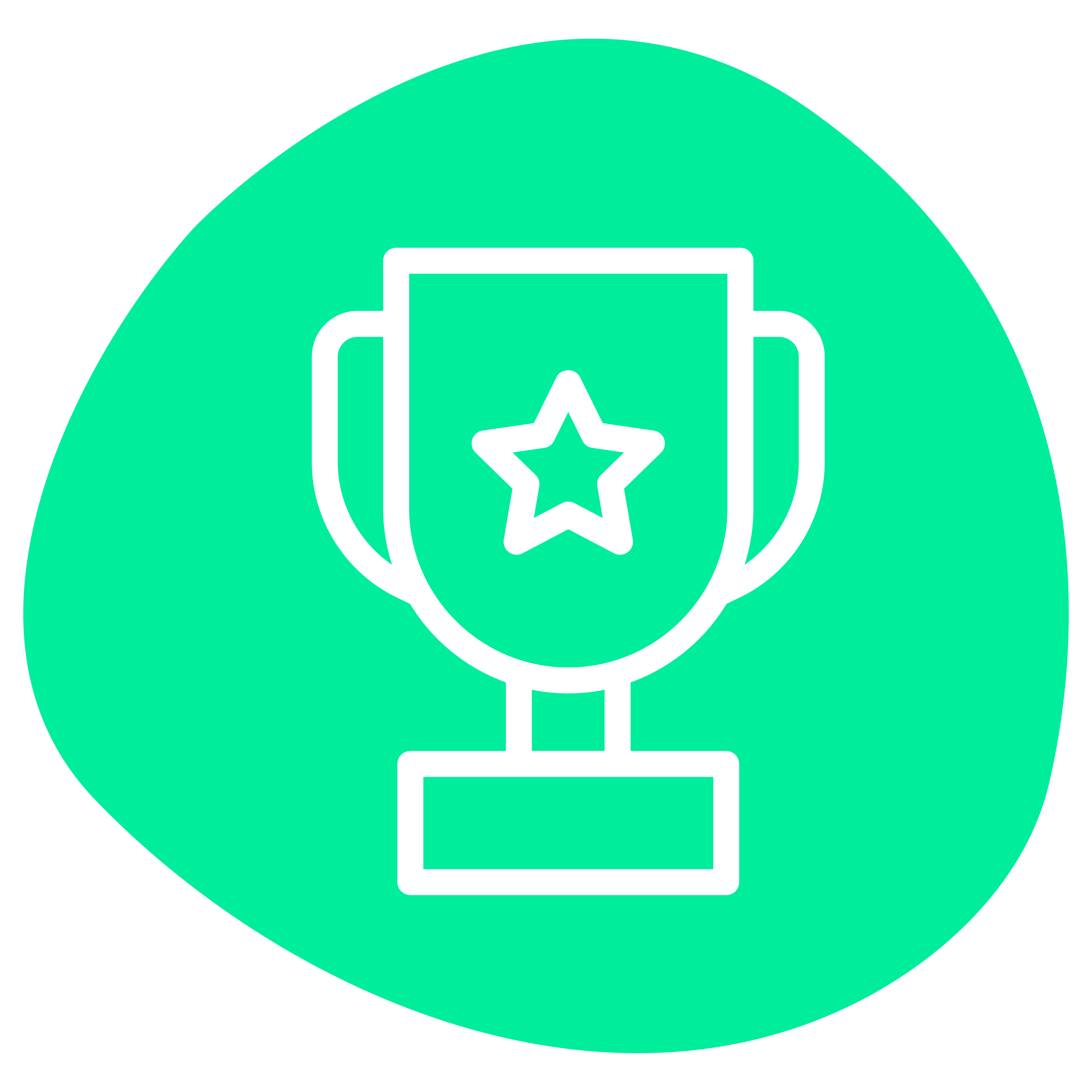 Icoon winners