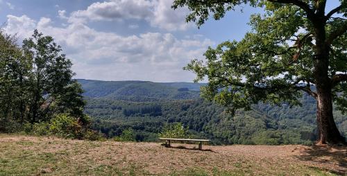 viewpoint “le Jambon de la Semois”