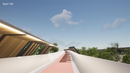 Winners Team TVB cycling bridge Vijfstraten SBE Student Challenge