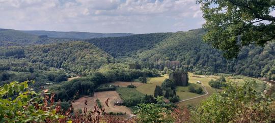 the viewpoint