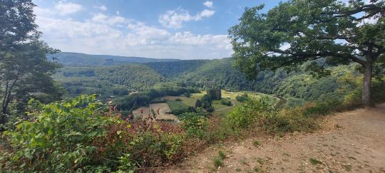 the viewpoint