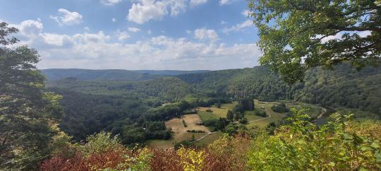 the viewpoint