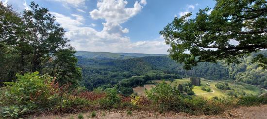 the viewpoint